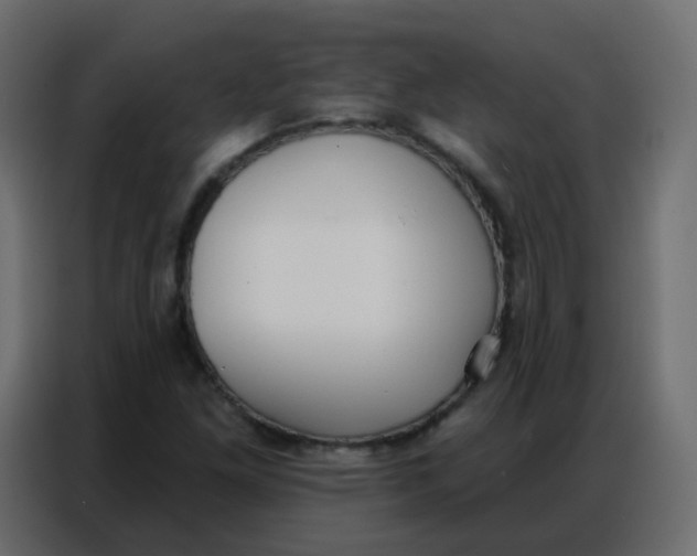 X0000086801261200705041601