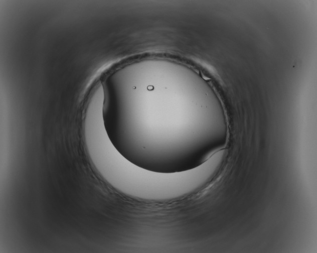 X0000086801263200705041601