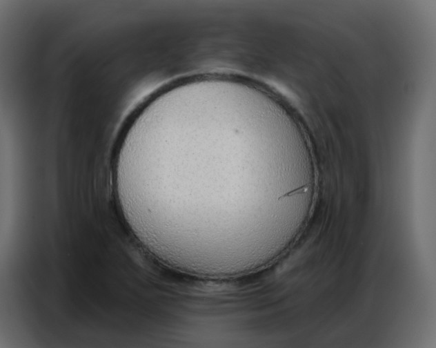 X0000086801271200705041601