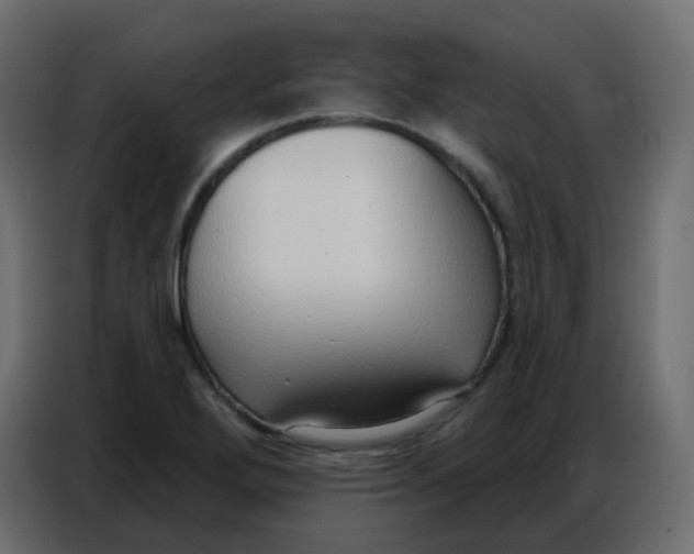 X0000086801272200705041601