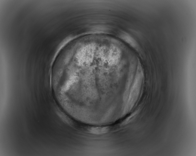 X0000086801275200705041601