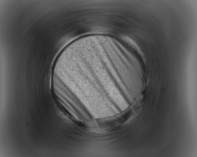 X0000086801276200705041601