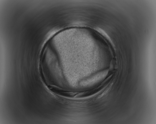 X0000086801277200705041601