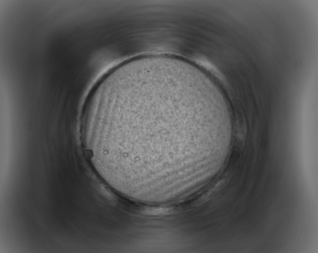 X0000086801278200705041601