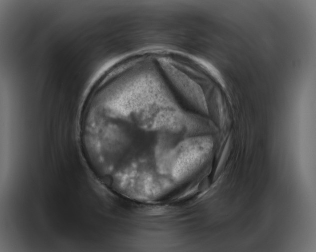 X0000086801279200705041601