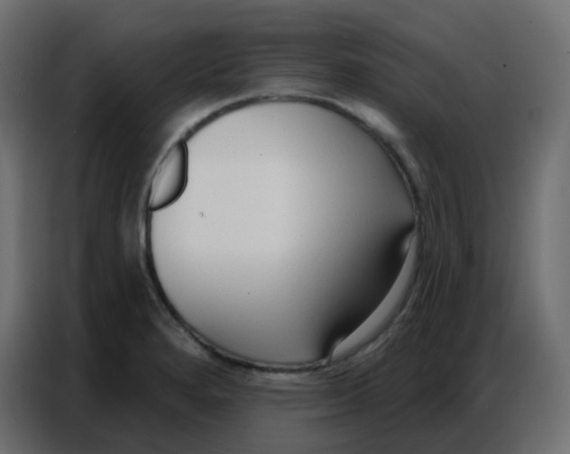 X0000086801280200705041601