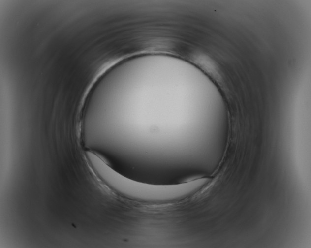 X0000086801284200705041601