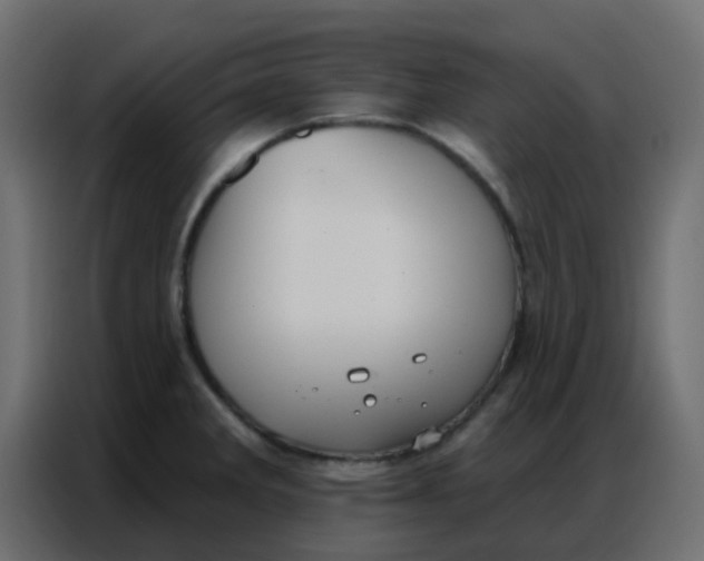 X0000086801285200705041601