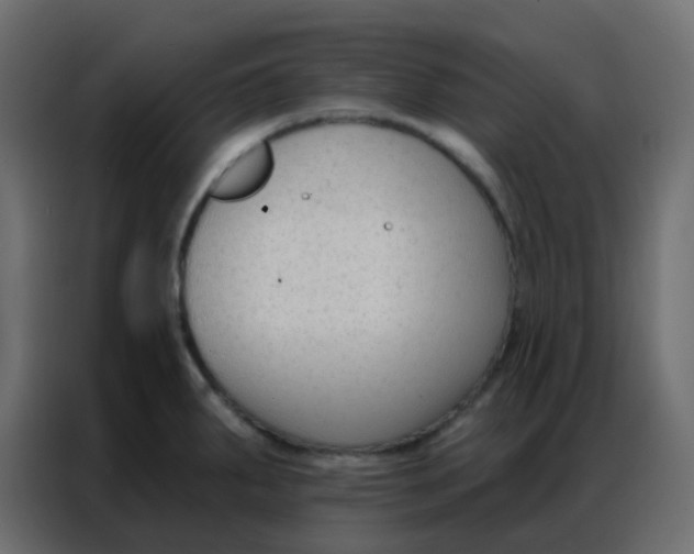 X0000086801287200705041601