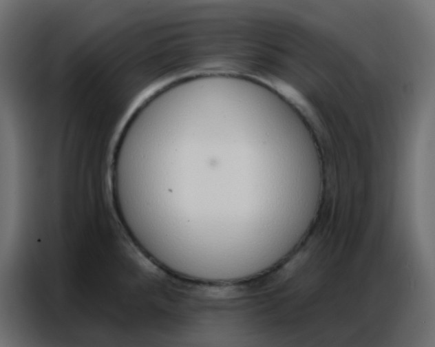 X0000086801288200705041601