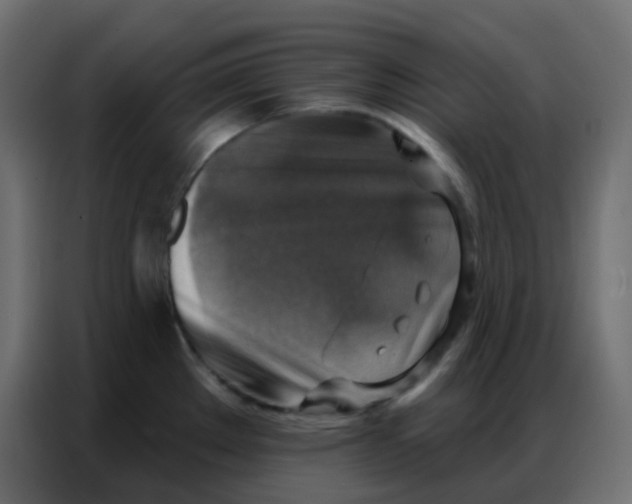 X0000086801289200705041601