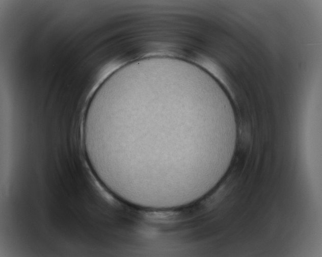 X0000086801290200705041601