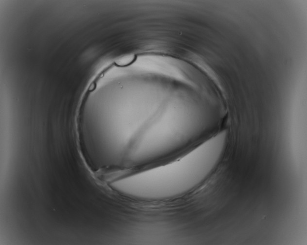 X0000086801291200705041601