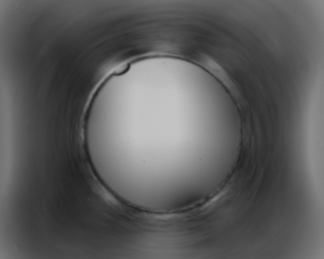 X0000086801292200705041601