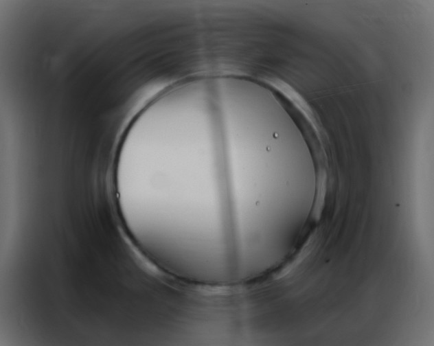 X0000086801293200705041601