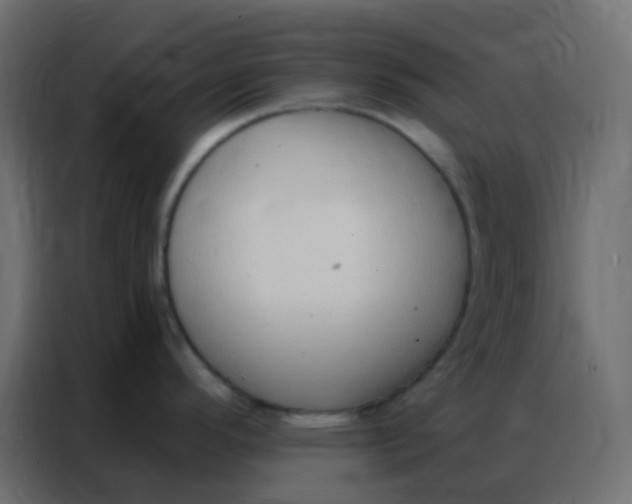 X0000086801296200705041601