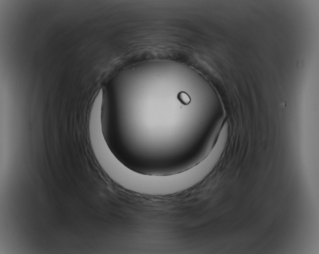 X0000086801298200705041600