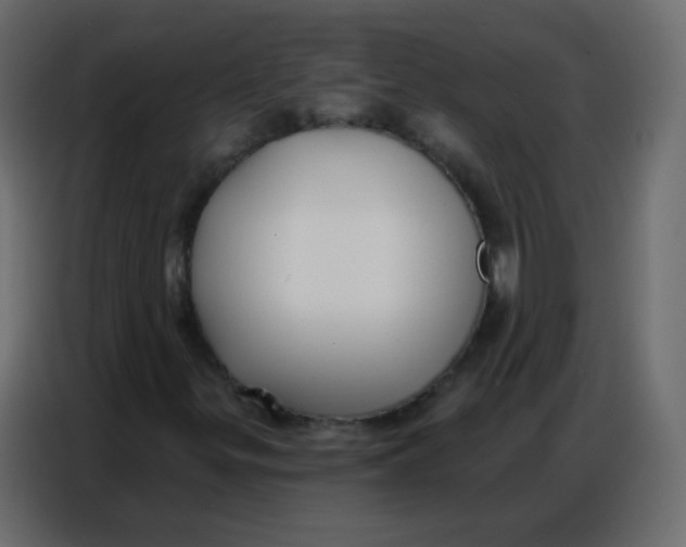 X0000086801299200705041600