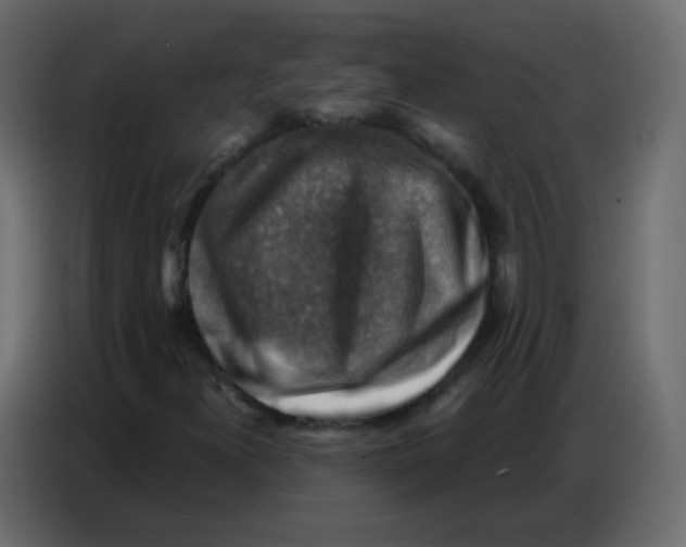 X0000086801300200705041600