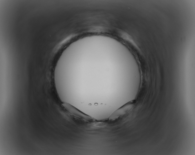 X0000086801304200705041600