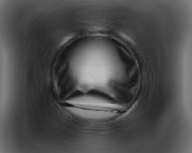 X0000086801305200705041600