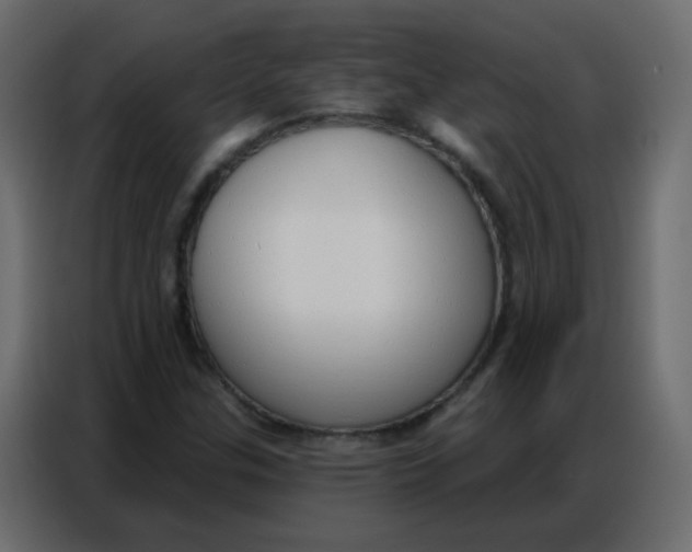 X0000086801307200705041600