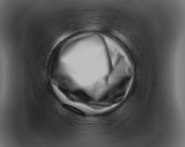 X0000086801308200705041600