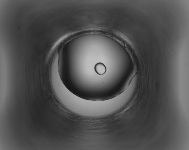 X0000086801310200705041600