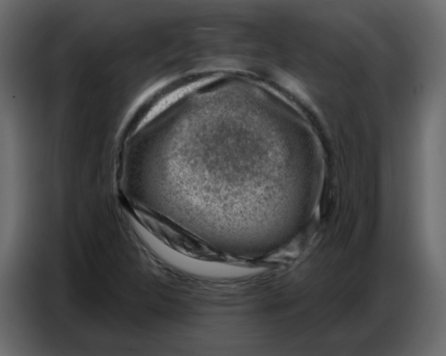 X0000086801312200705041600