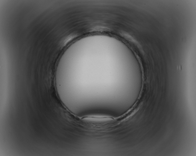 X0000086801313200705041600