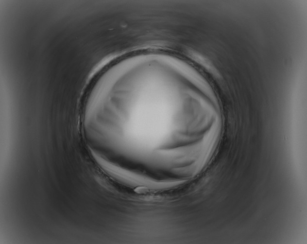 X0000086801316200705041600