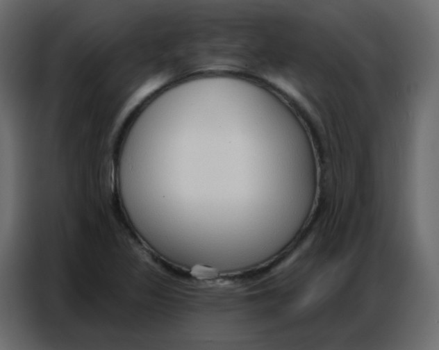 X0000086801317200705041600