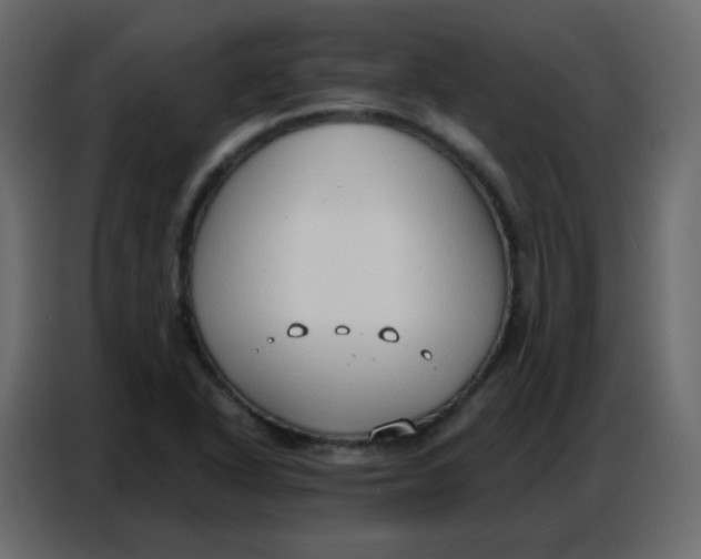 X0000086801318200705041600