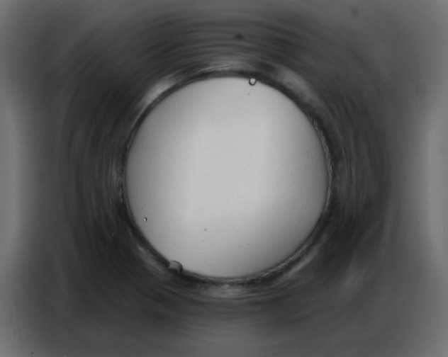 X0000086801321200705041600