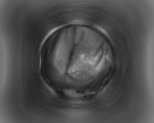 X0000086801323200705041600