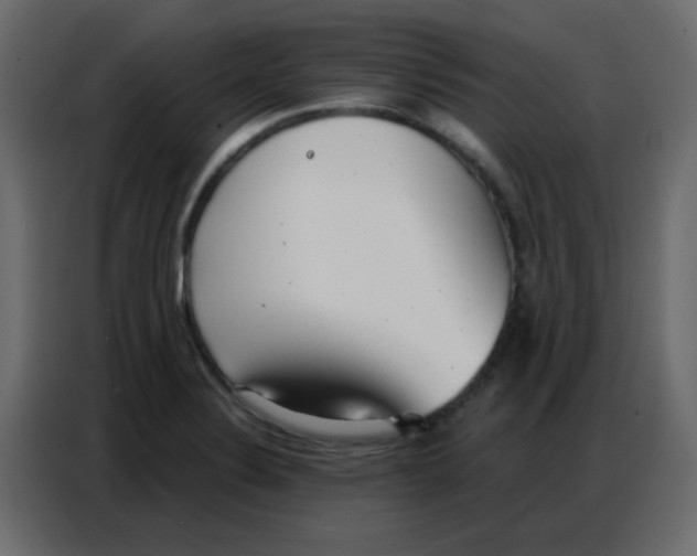 X0000086801324200705041600