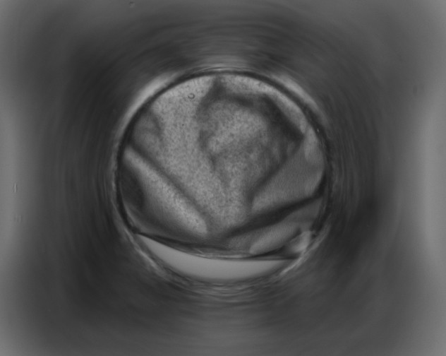 X0000086801325200705041600