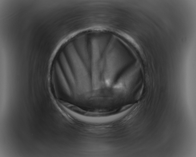 X0000086801327200705041600