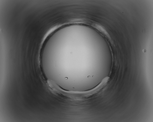 X0000086801328200705041600