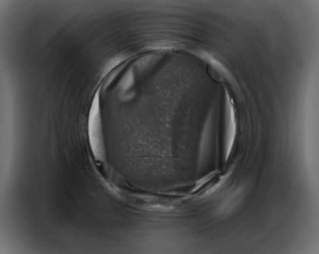 X0000086801329200705041600