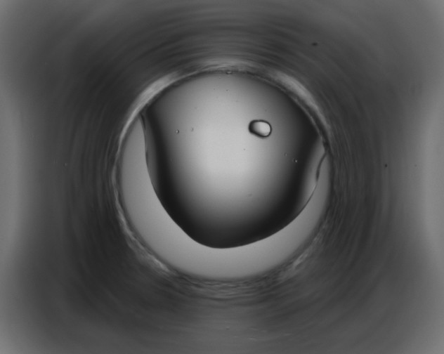 X0000086801330200705041600