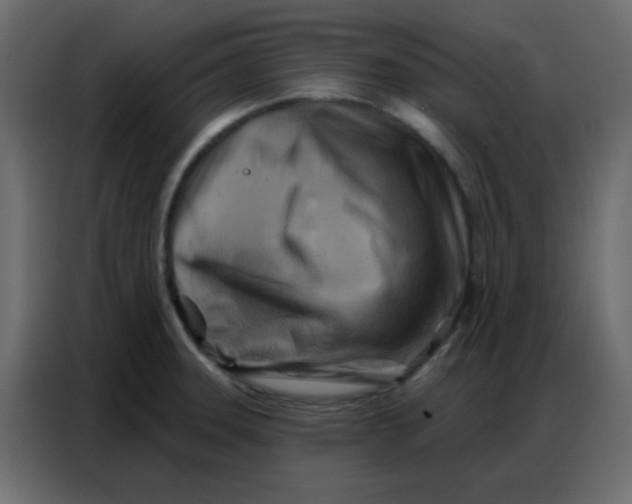 X0000086801331200705041600