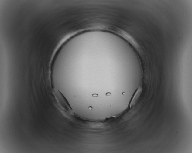 X0000086801332200705041600