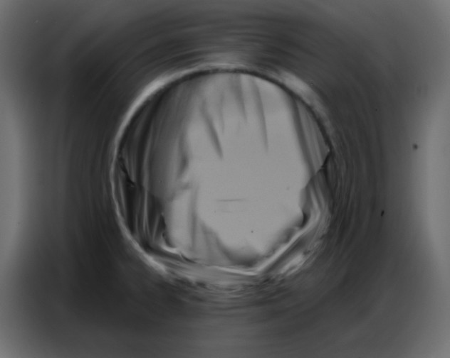 X0000086801334200705041600