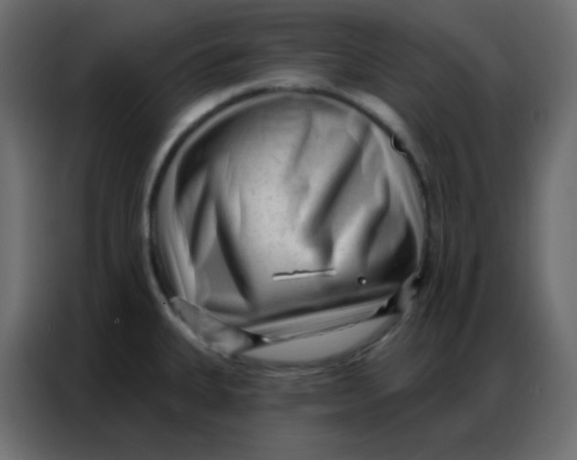 X0000086801335200705041600