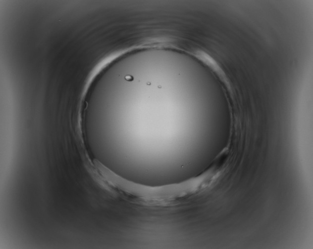 X0000086801336200705041600