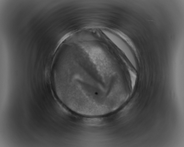 X0000086801337200705041601