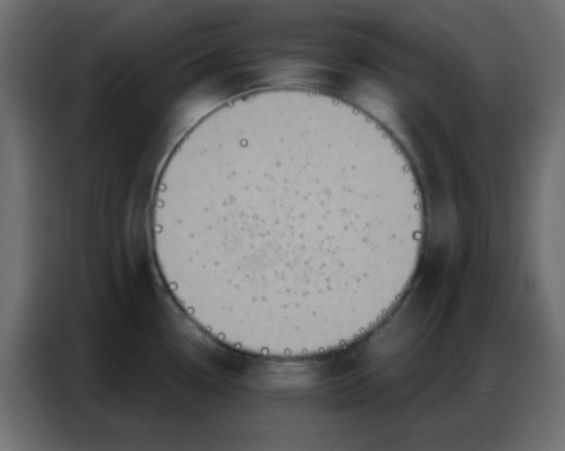 X0000086801338200705041601