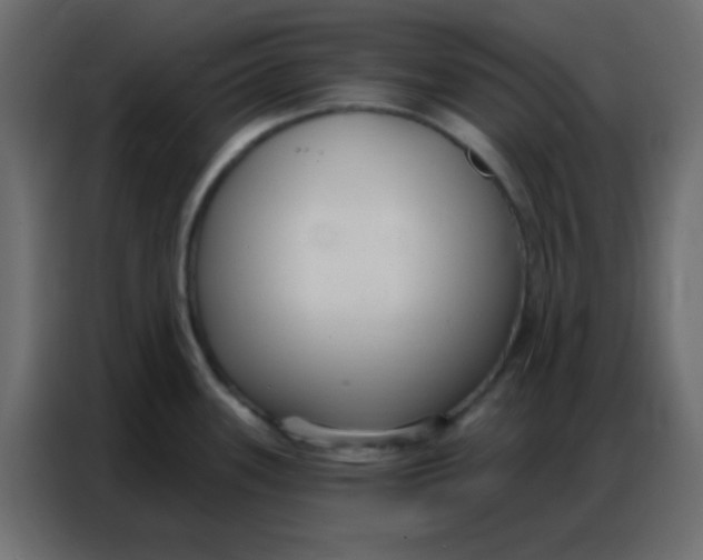 X0000086801339200705041601