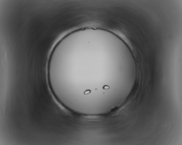 X0000086801343200705041601